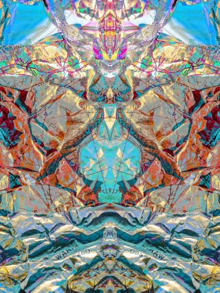 Eagle of The Andes Giclee Print