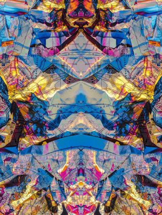 Arctic Jungle Giclee Print